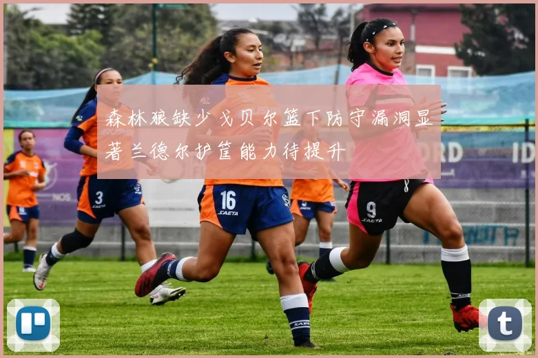森林狼缺少戈贝尔篮下防守漏洞显著兰德尔护筐能力待提升