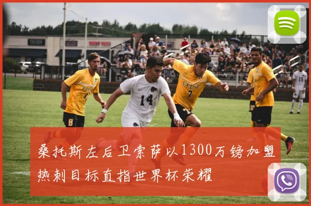桑托斯左后卫索萨以1300万镑加盟热刺目标直指世界杯荣耀