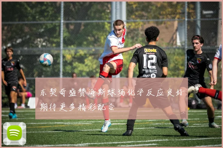 东契奇盛赞海斯球场化学反应良好期待更多精彩配合